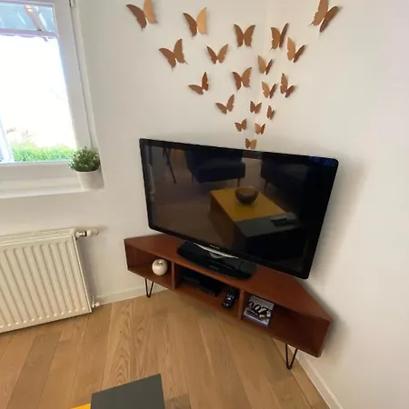 Duplex Le 12 - Avec Terrasse Dans Le Vignoble - 5 Mn Du Centre De Colmar 公寓 韦托尔塞姆