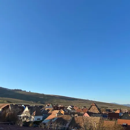 Appartement Duplex Le 12 - Avec Terrasse Dans Le Vignoble - 5 Mn Du Centre De Colmar Wettolsheim