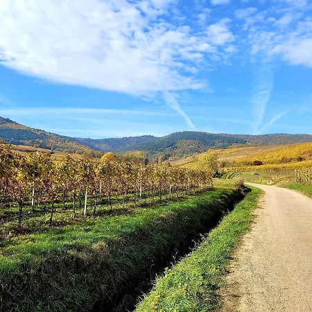 Duplex Le 12 - Avec Terrasse Dans Le Vignoble - 5 Mn Du Centre De Colmar *