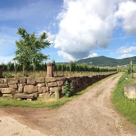 Appartement Duplex Le 12 - Avec Terrasse Dans Le Vignoble - 5 Mn Du Centre De Colmar *